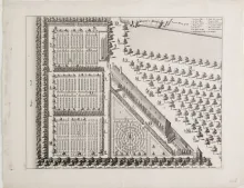 Hortus medicus te Amsterdam, Copyright Rijksmuseum Boerhaave Leiden