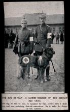'World War One: two orderlies and a working dog of the German Red Cross. Halftone, c. 1916.' . Credit: Wellcome Collection. CC BY